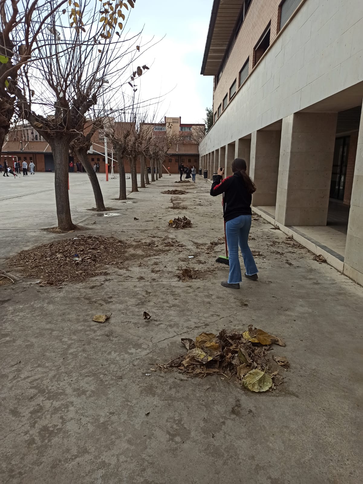 WhatsApp Image 2024-01-17 at 15.46.40