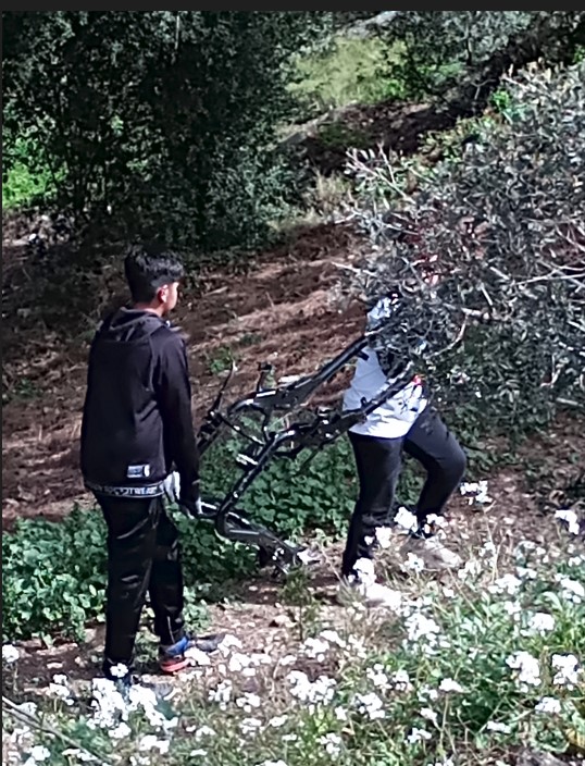 Captura de pantalla 2024-04-03 130854