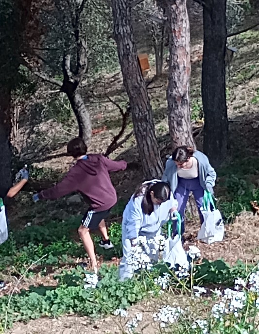 Captura de pantalla 2024-04-03 130908