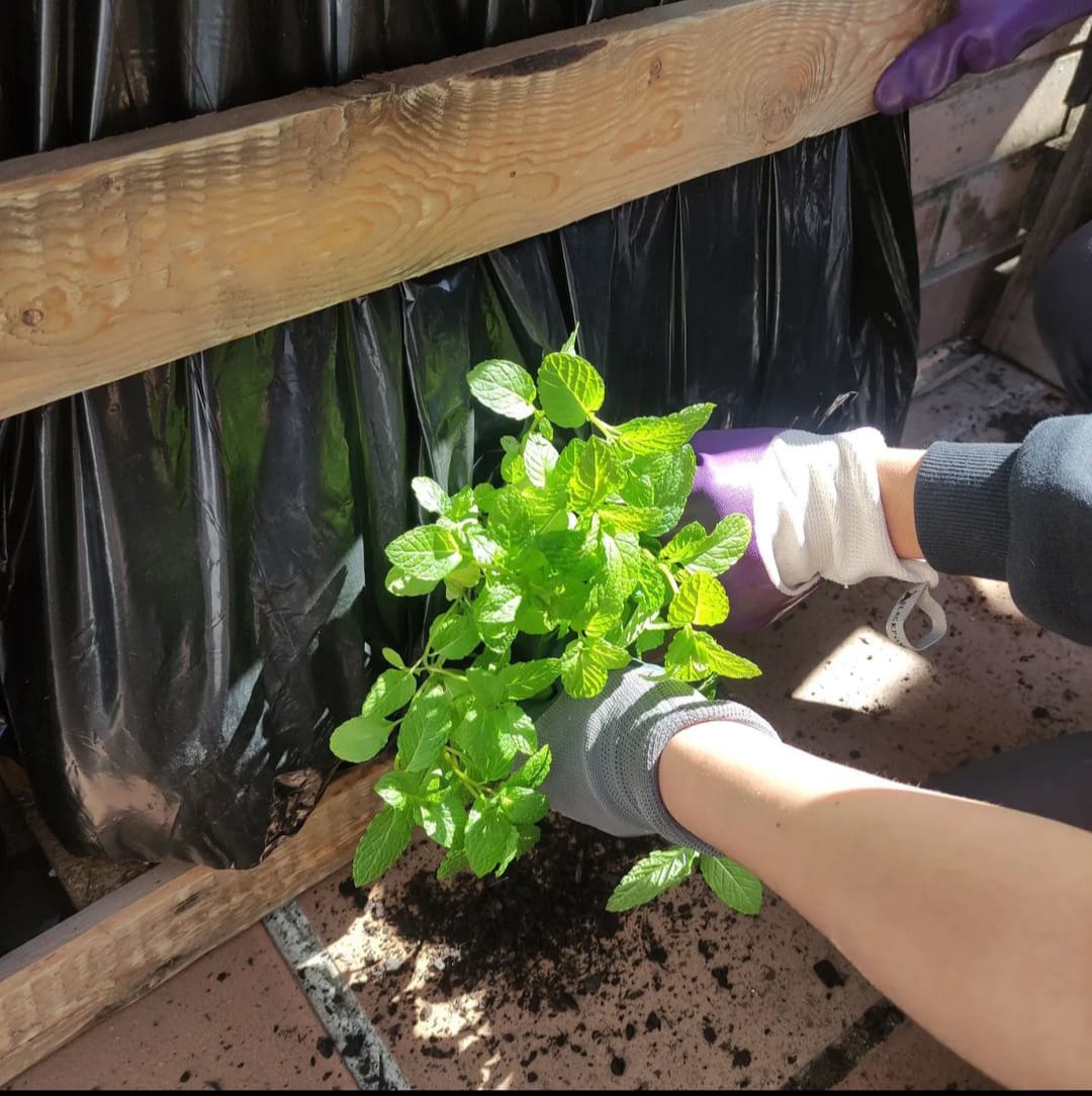 WhatsApp Image 2024-04-03 at 1.26.07 PM