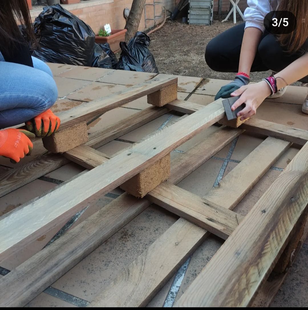 WhatsApp Image 2024-04-03 at 1.26.08 PM (1)