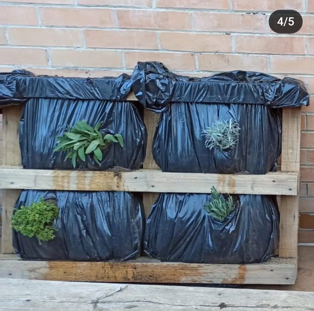 WhatsApp Image 2024-04-03 at 1.26.08 PM (2)