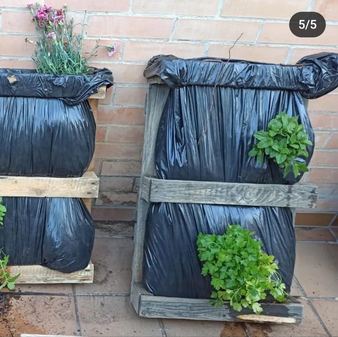 WhatsApp Image 2024-04-03 at 1.26.08 PM (3)