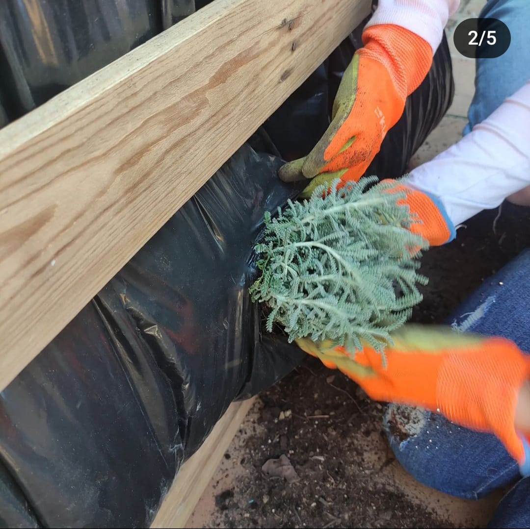 WhatsApp Image 2024-04-03 at 1.26.08 PM