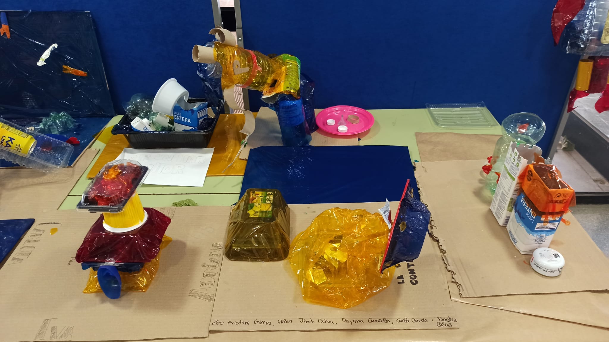 WhatsApp Image 2024-06-17 at 16.43.21 (1)