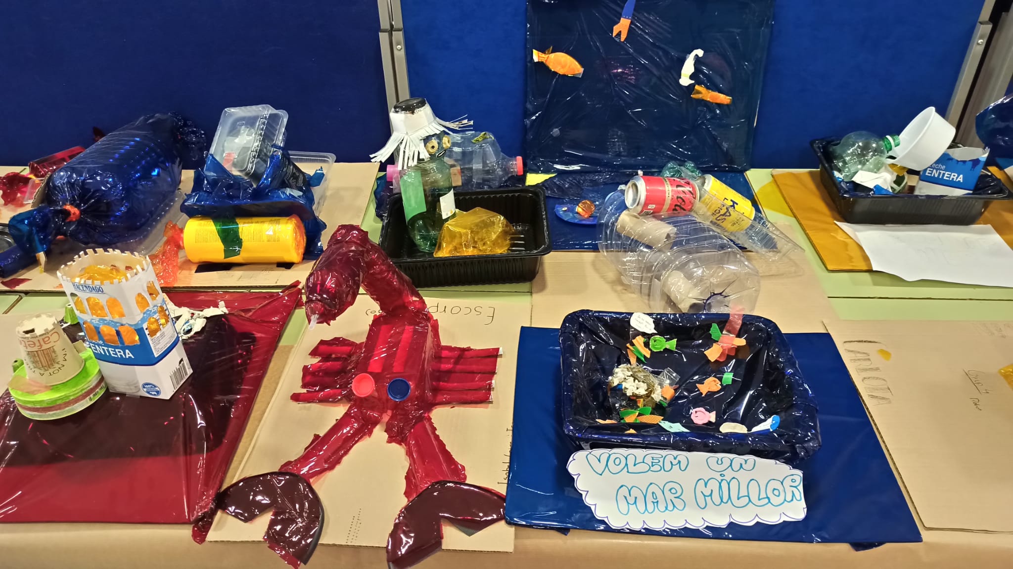 WhatsApp Image 2024-06-17 at 16.43.22