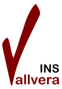 Logotip INS Vallvera
