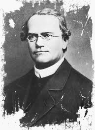Gregor Mendel [genetista]