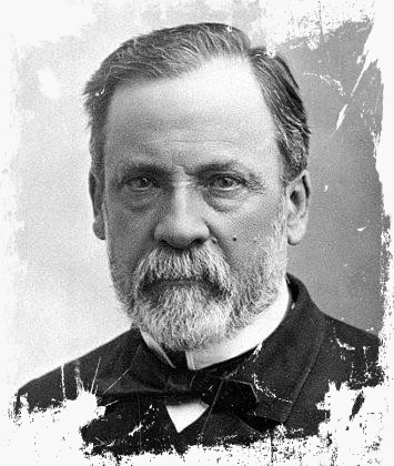 Louis Pasteur [microbiòleg]