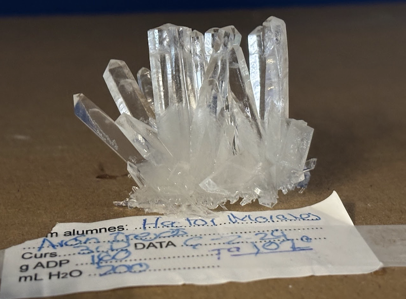 Captura de pantalla 2024-05-07 a las 16.38.03