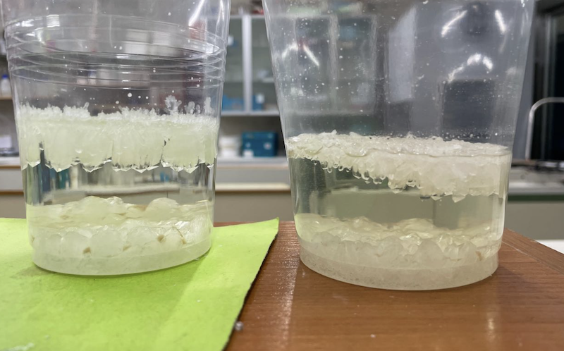 Captura de pantalla 2024-05-07 a las 16.39.08