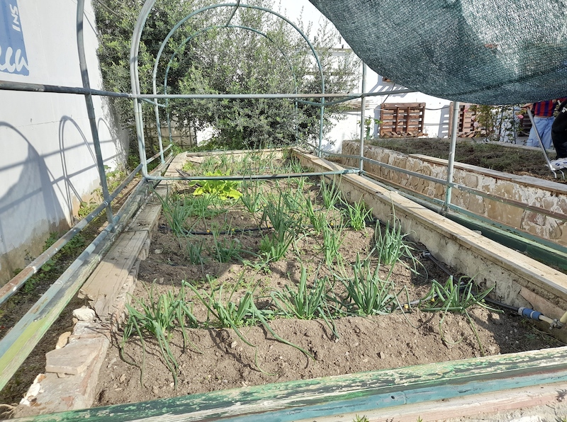 Captura de pantalla 2024-11-13 a las 12.00.14