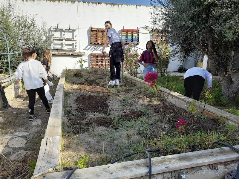 Captura de pantalla 2024-11-13 a las 12.00.43