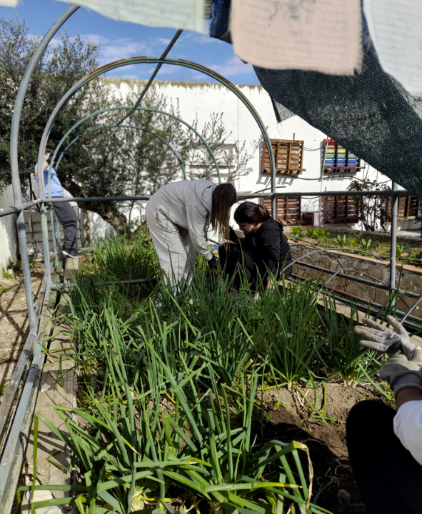 Captura de pantalla 2025-02-25 a las 9.14.26