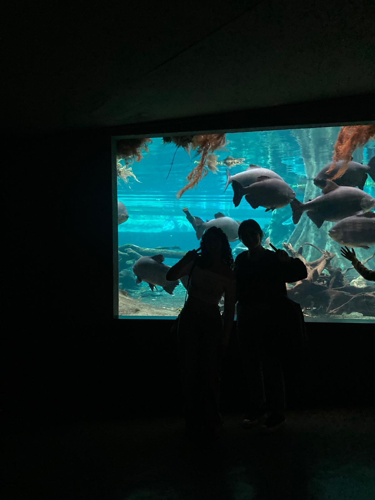 WhatsApp Image 2025-03-14 at 20.41.13 (5)