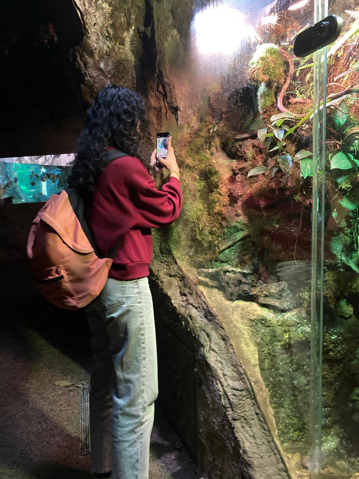 WhatsApp Image 2025-03-14 at 20.41.13 (9)