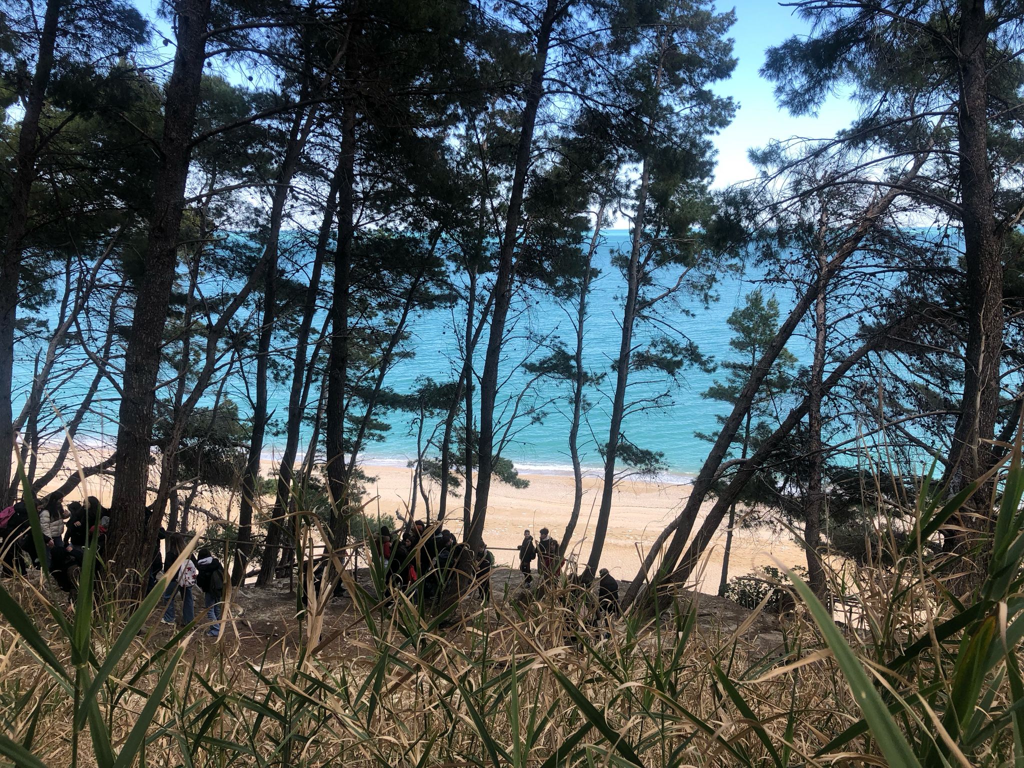 WhatsApp Image 2025-03-19 at 18.46.46