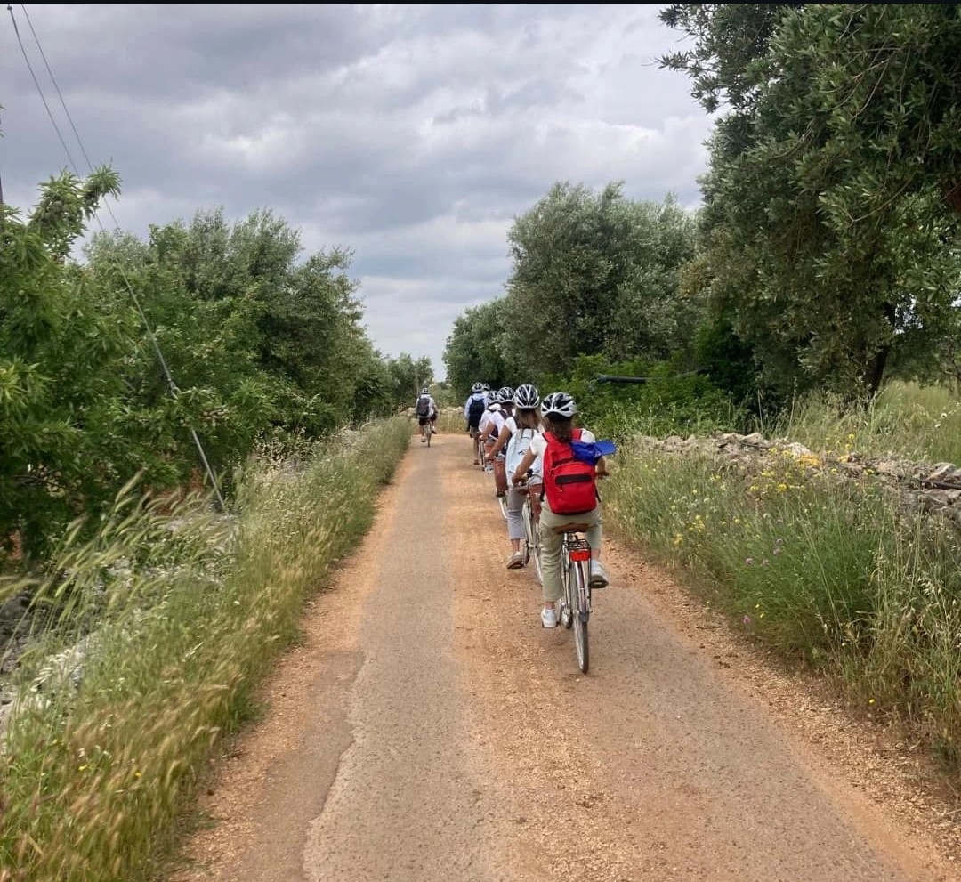 Screenshot_20250516_114630_com.instagram.android