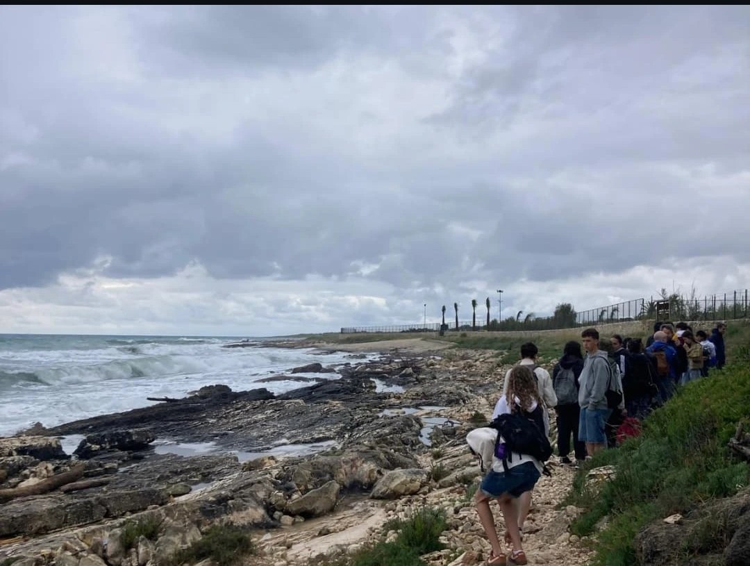 Screenshot_20250529_115852_com.instagram.android