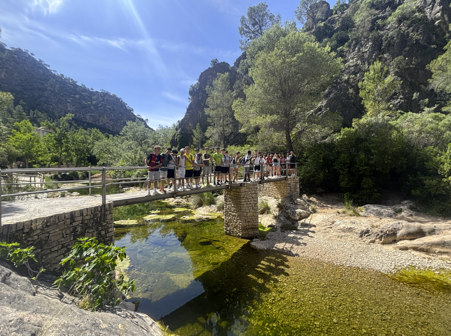 Captura de pantalla 2025-06-06 a las 8.22.40