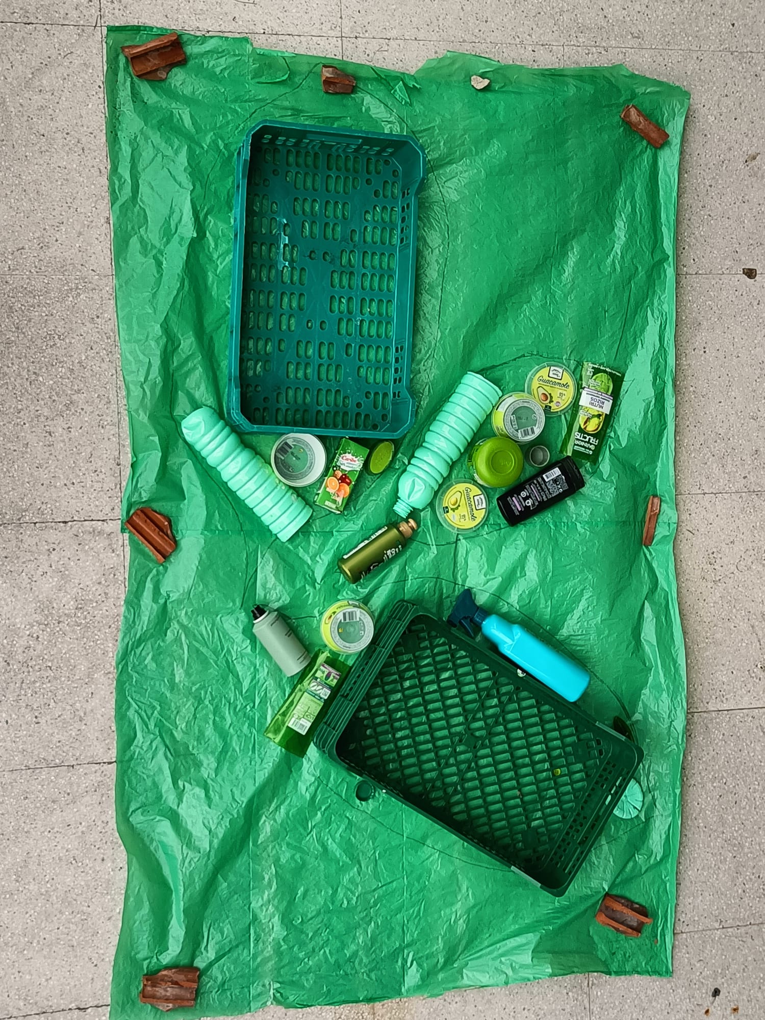 Fulles i fotossíntesi