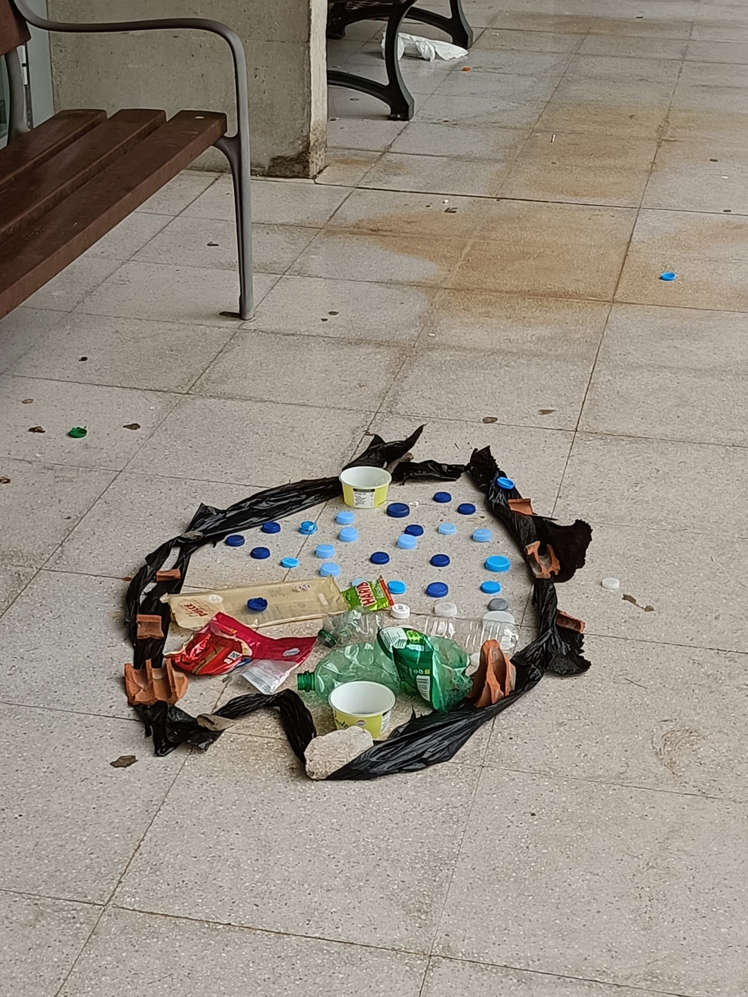 paelta de colors ou peixe