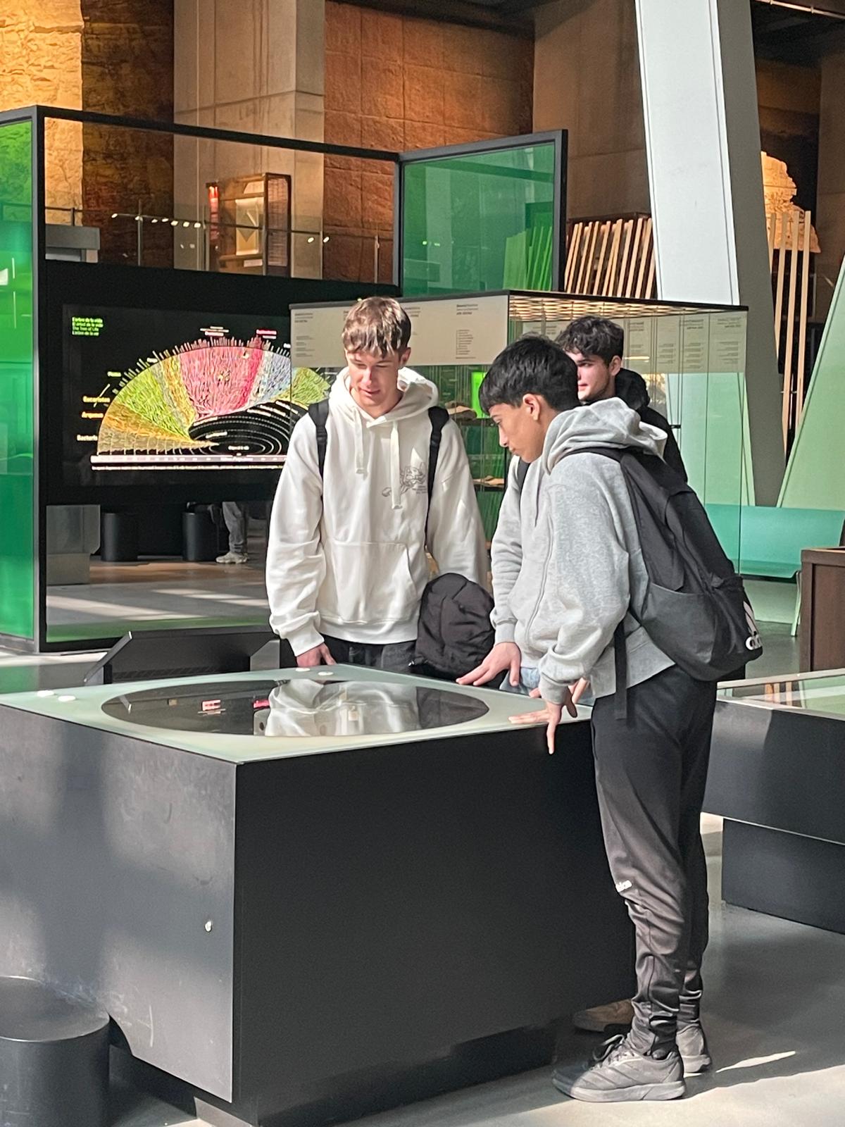 36d97a19-5cf2-4cf1-99e3-88707aea5e40