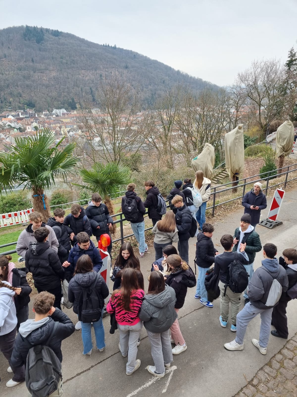 fe2787bd-73a5-49c2-b161-fe4d985a957b