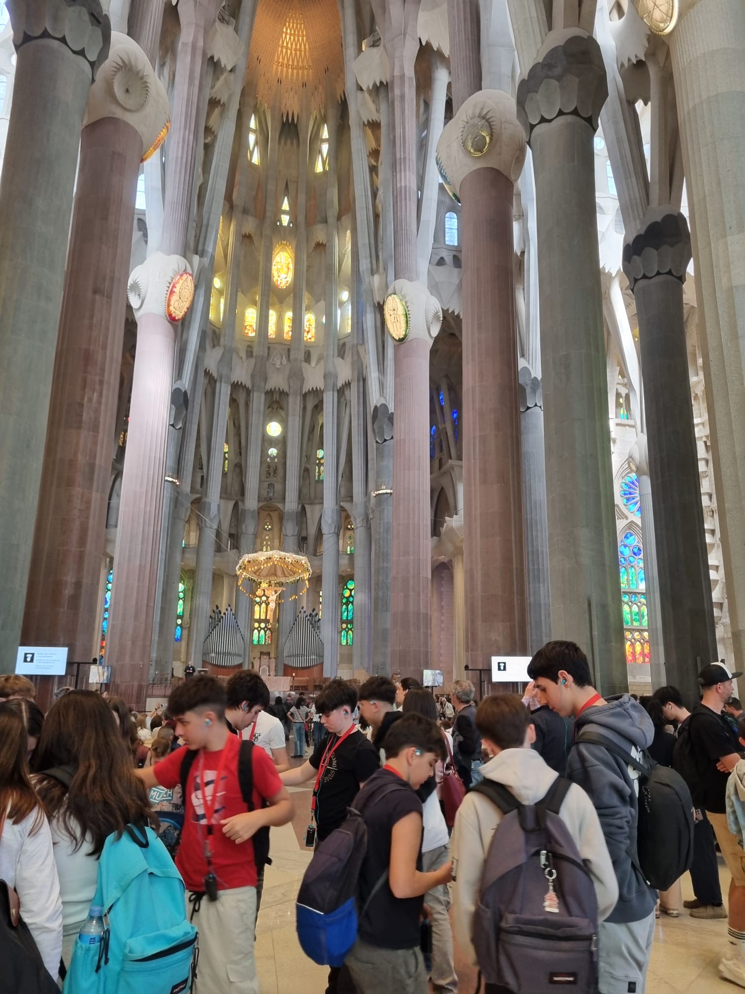 c2ef58d8-20b9-44e4-8493-7e26f512db46