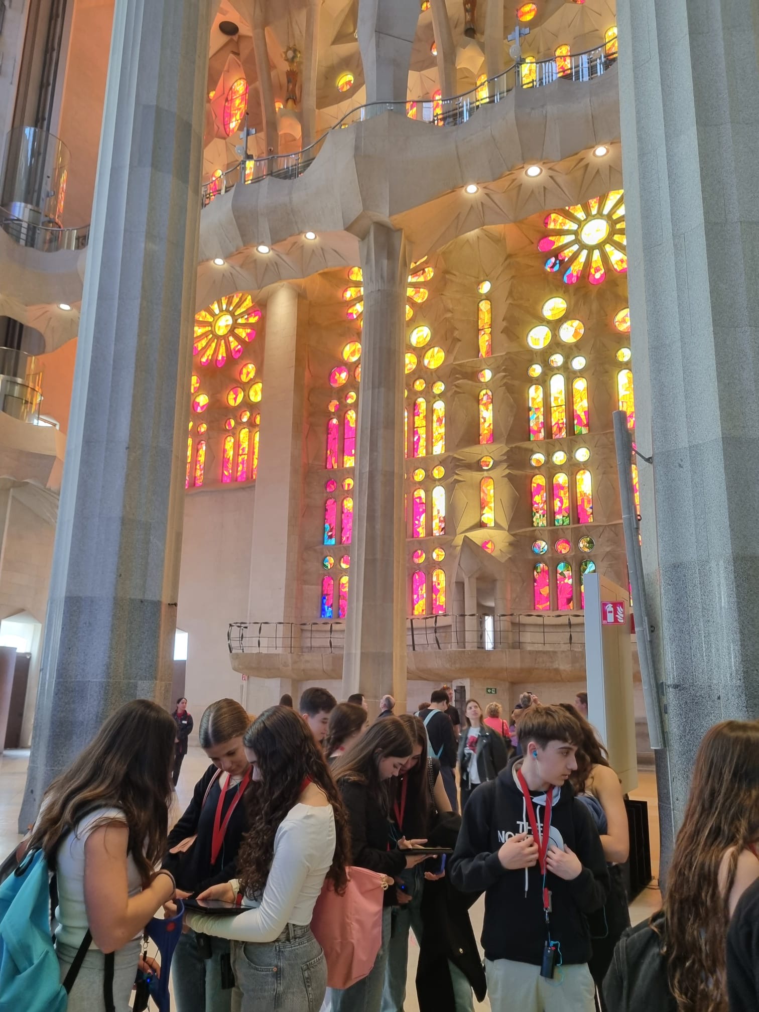 fd3803ba-d599-44a5-b5f9-1bf75b2f6c83