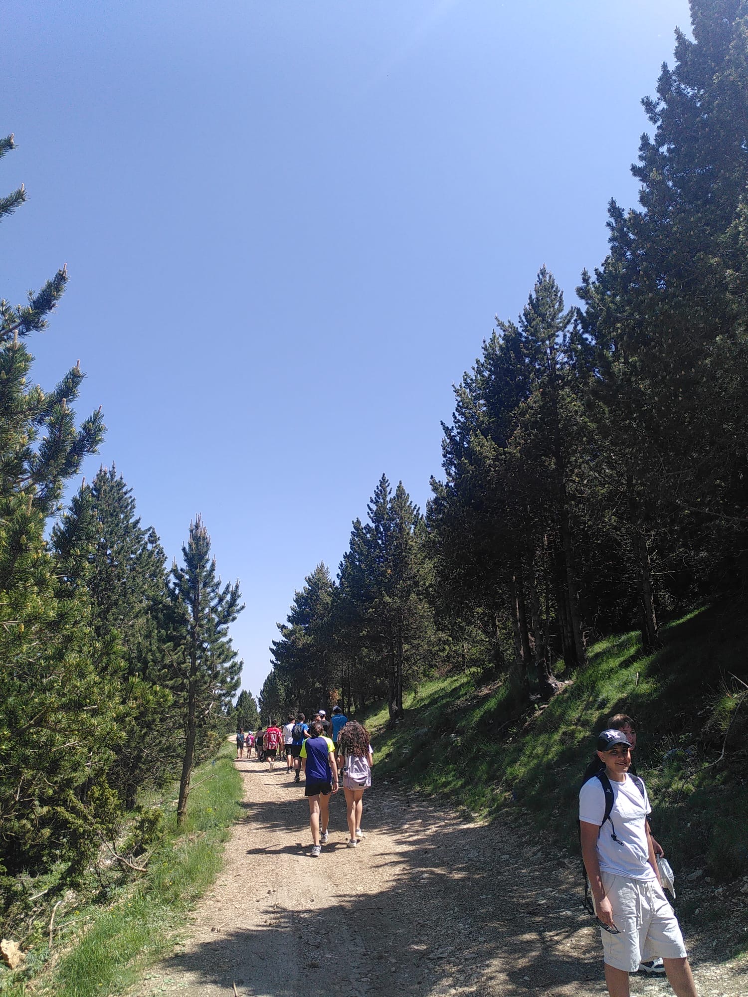 18c488f0-37ad-4dd3-8e91-2879bc0227af