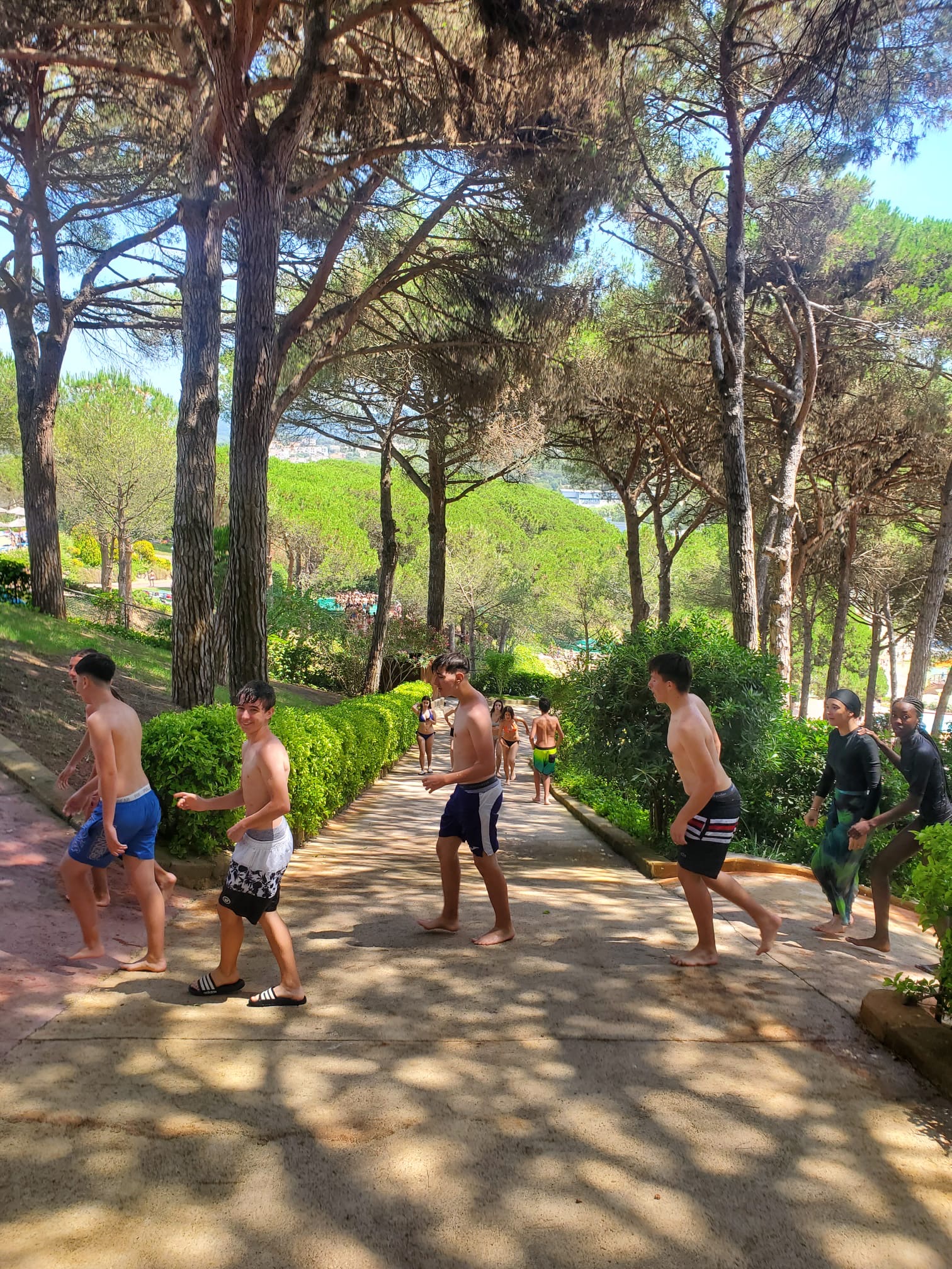 366b12af-233c-4e89-8884-5e25a50a6bb9