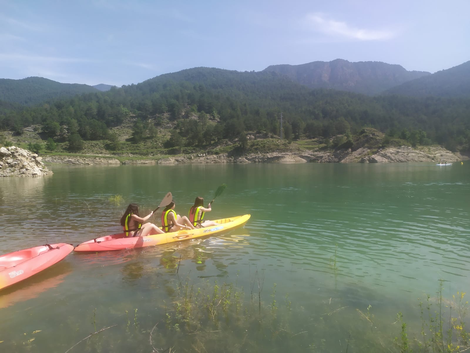 4393eef2-a1e6-4b65-896d-da5af9ac65cc