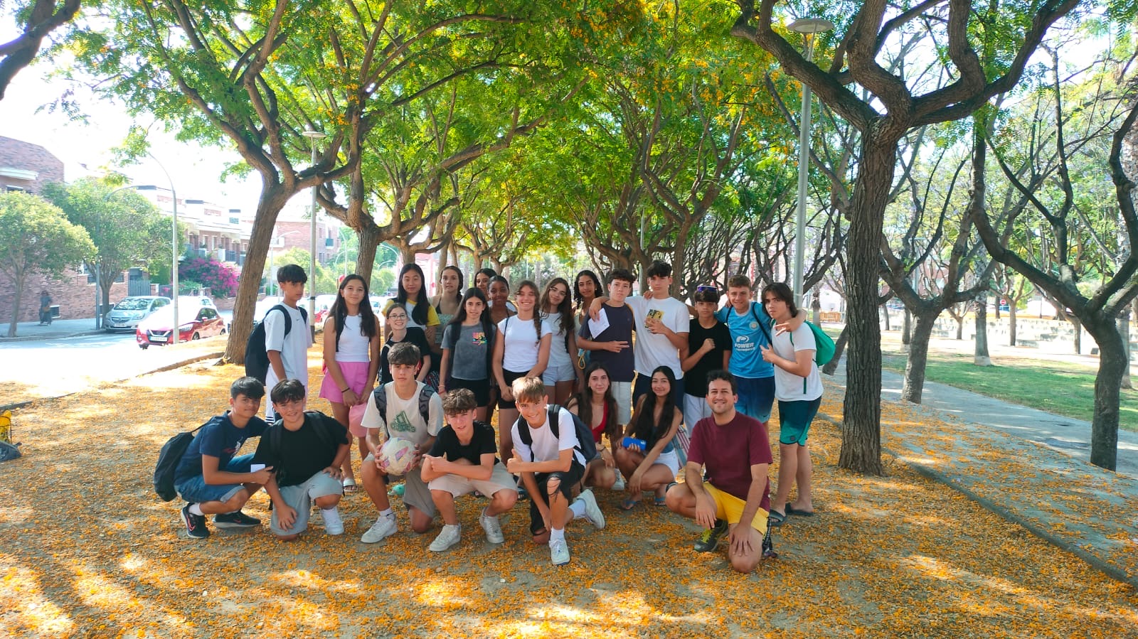 4695b6b1-77be-4adf-86a6-bd7c994ba14e