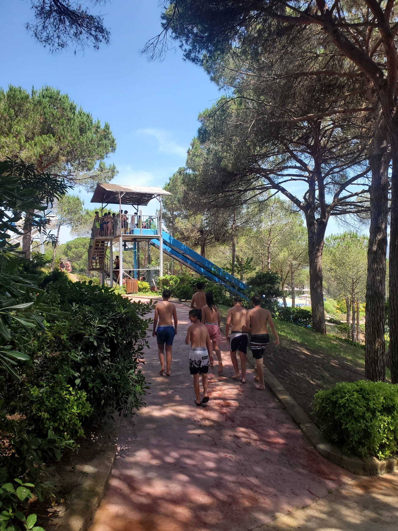 4cbc6635-5962-4fb8-b485-3d2201dee13e