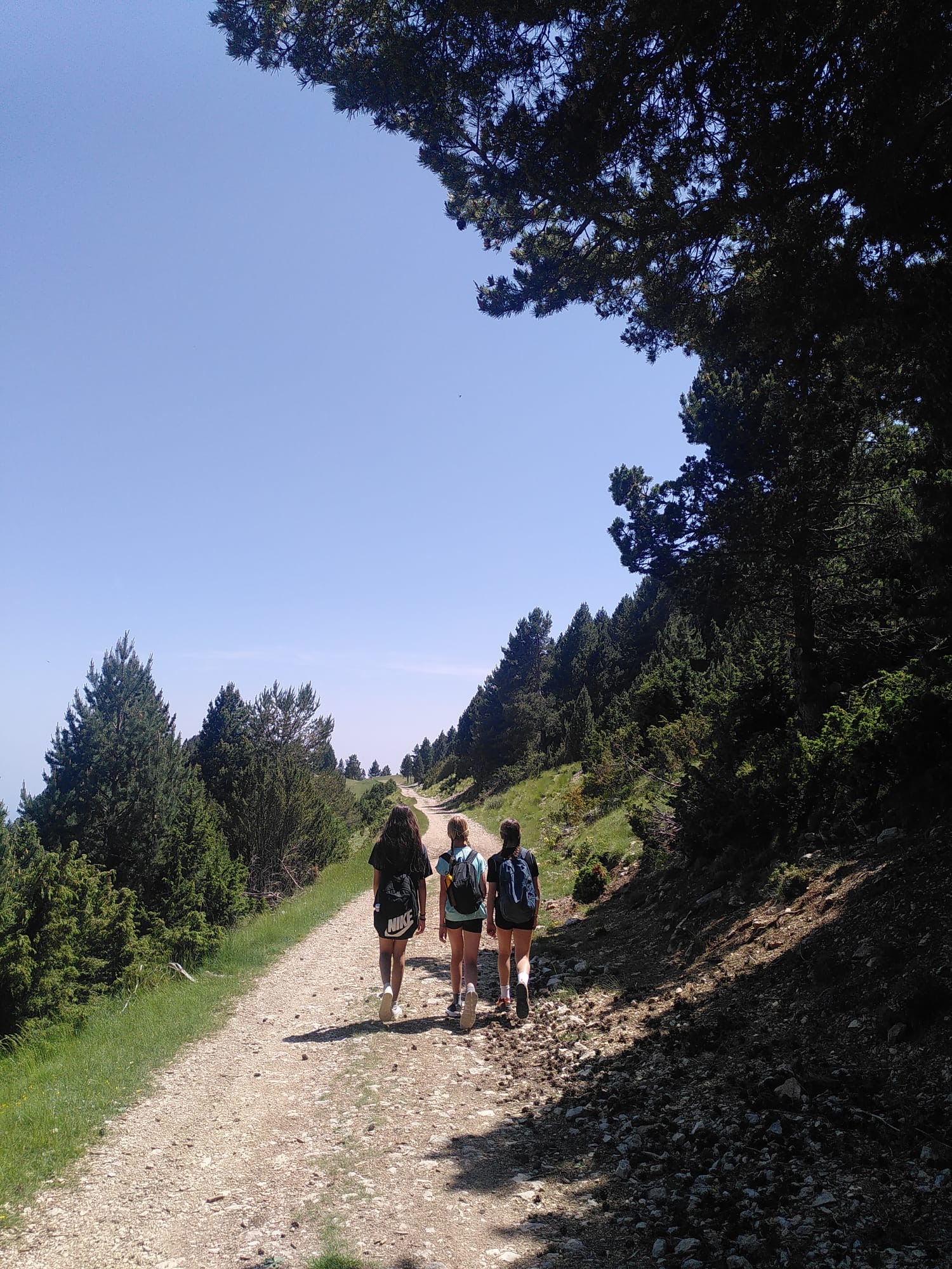 52828bf7-9e1e-4159-87f6-001c286888ec