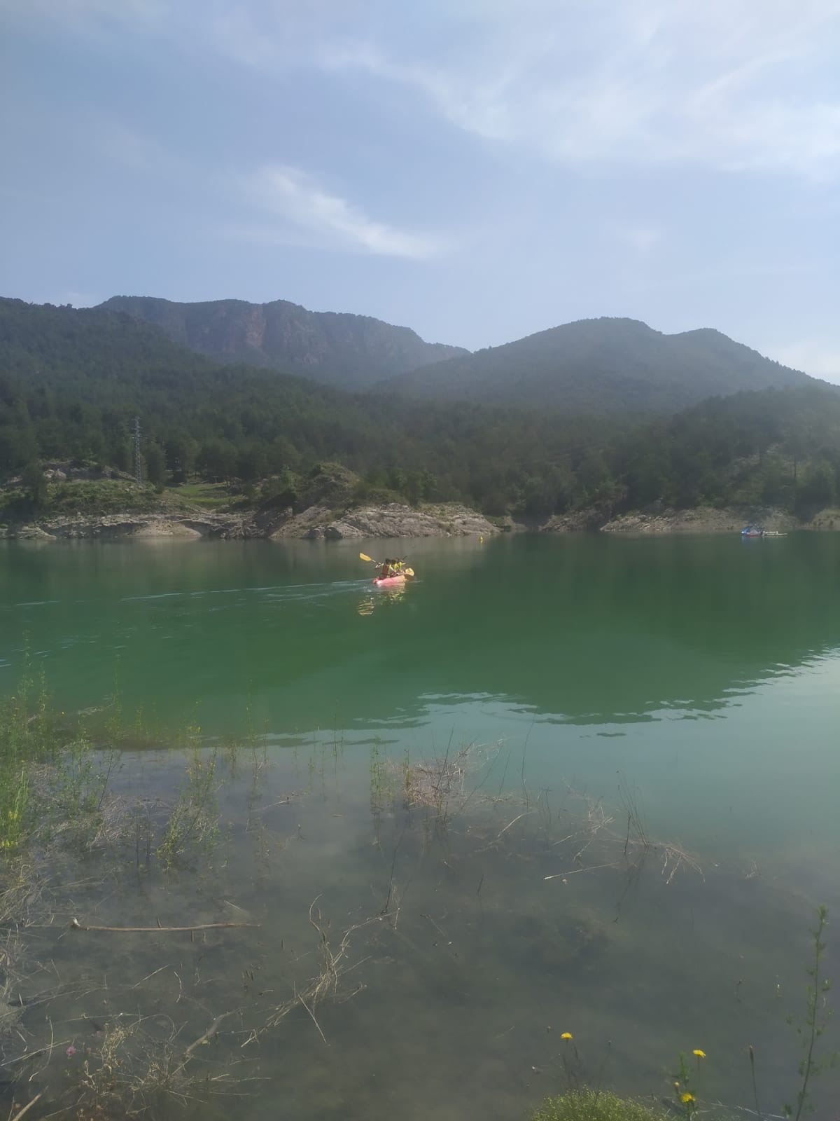 725c9e64-7572-4d3c-9b44-46a0b9e1eba9