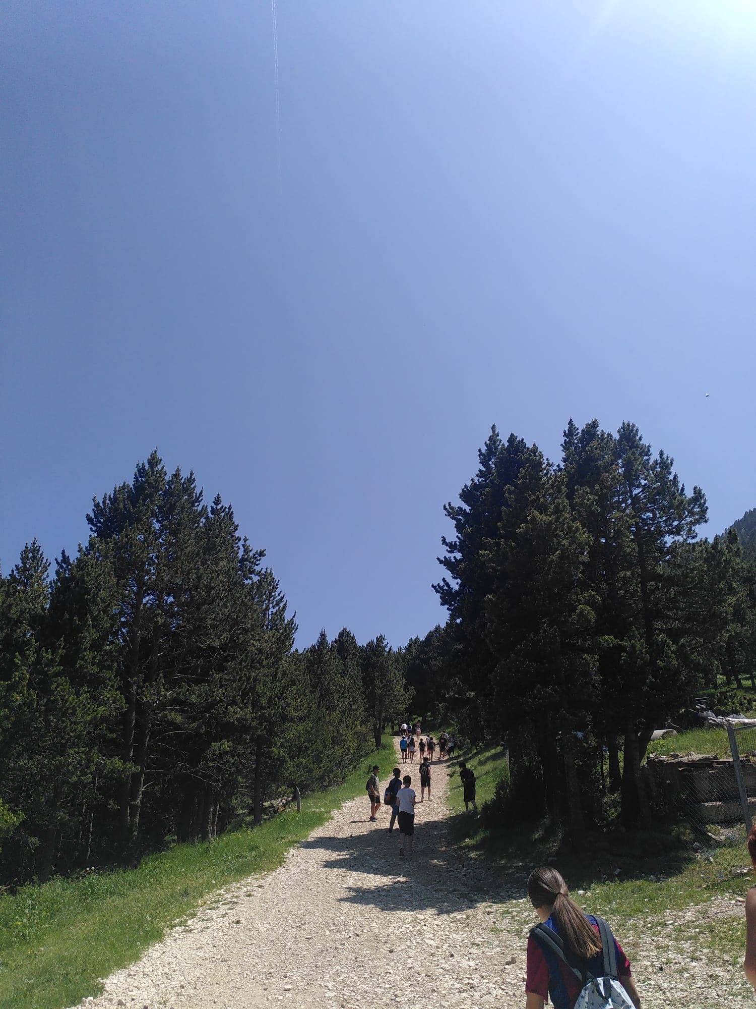 83122c07-1fd3-49cd-b206-47eebdda6988