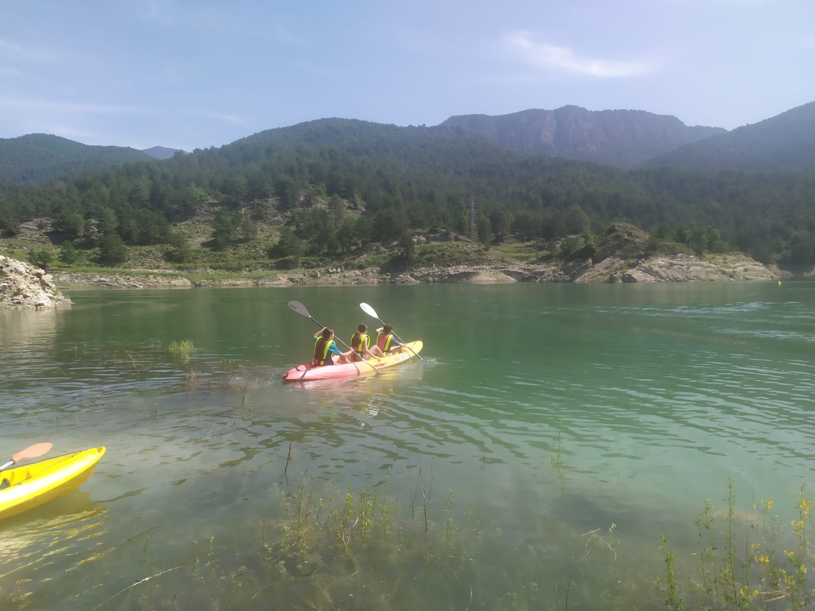 863c6f4c-423f-4497-b11b-f5294ca31eed