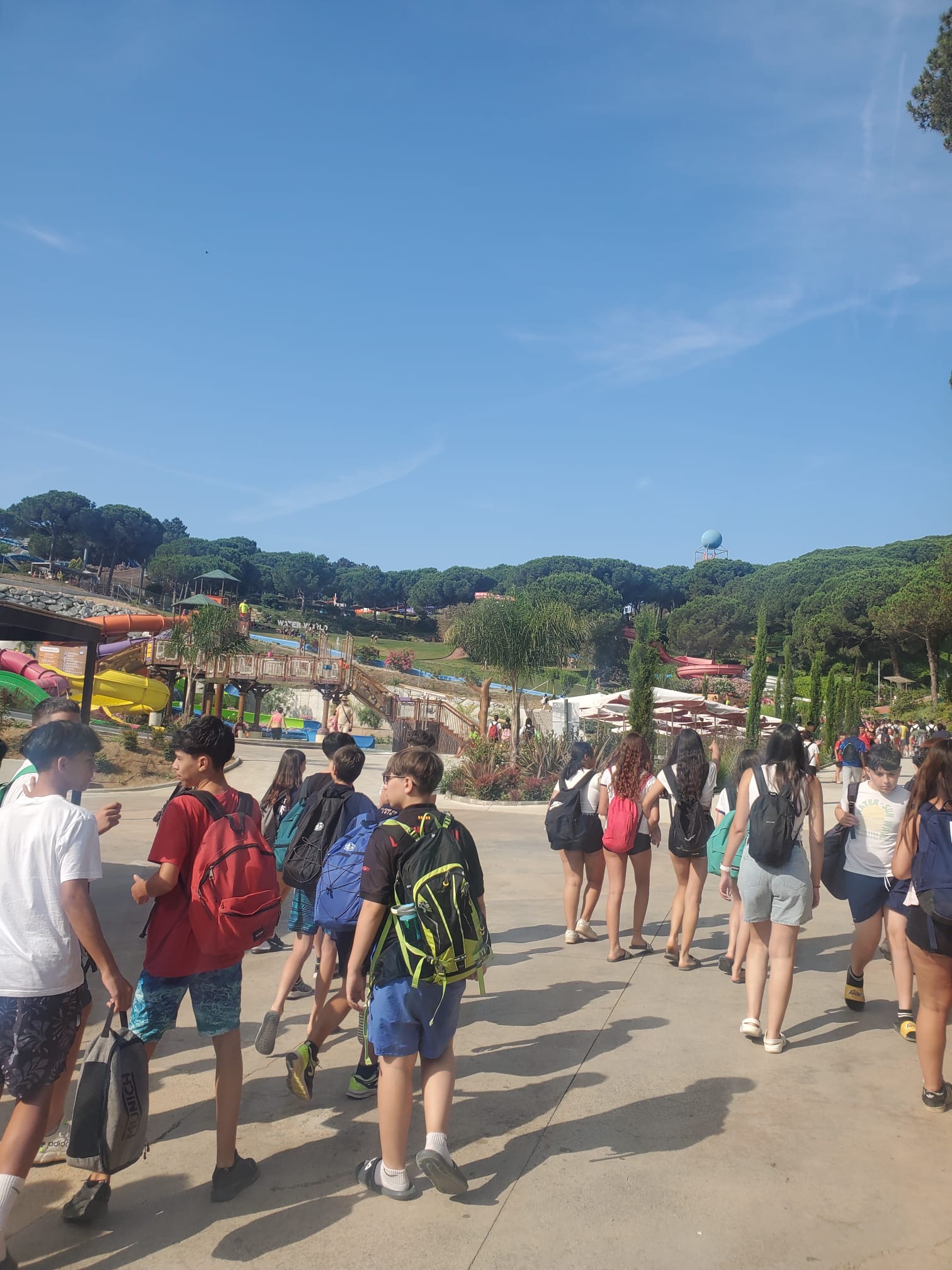 8bd5d03e-dd85-47ef-b17d-0d61799ff7e7