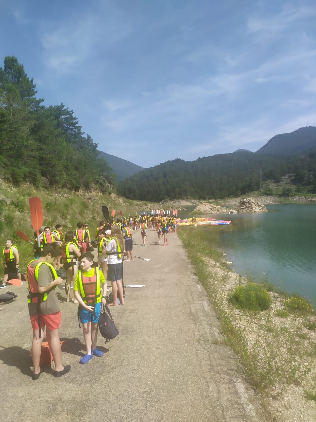 8e578cb3-2f93-4baa-8111-adad37bef4df