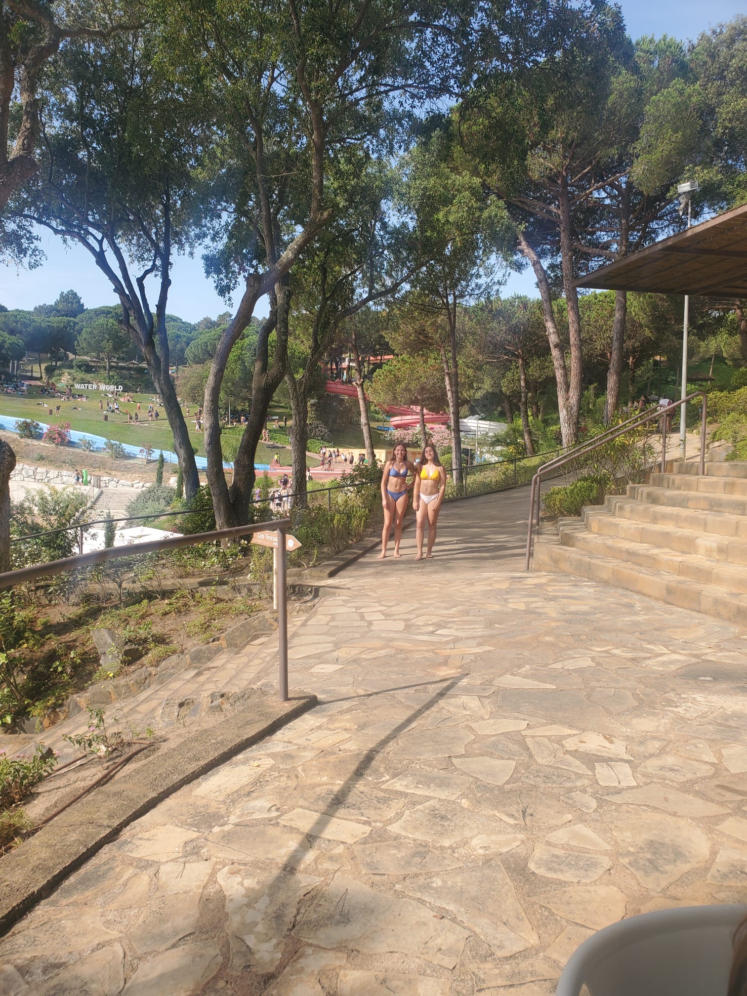 969b3d17-7b44-43a7-ba5b-1b973661c2c7