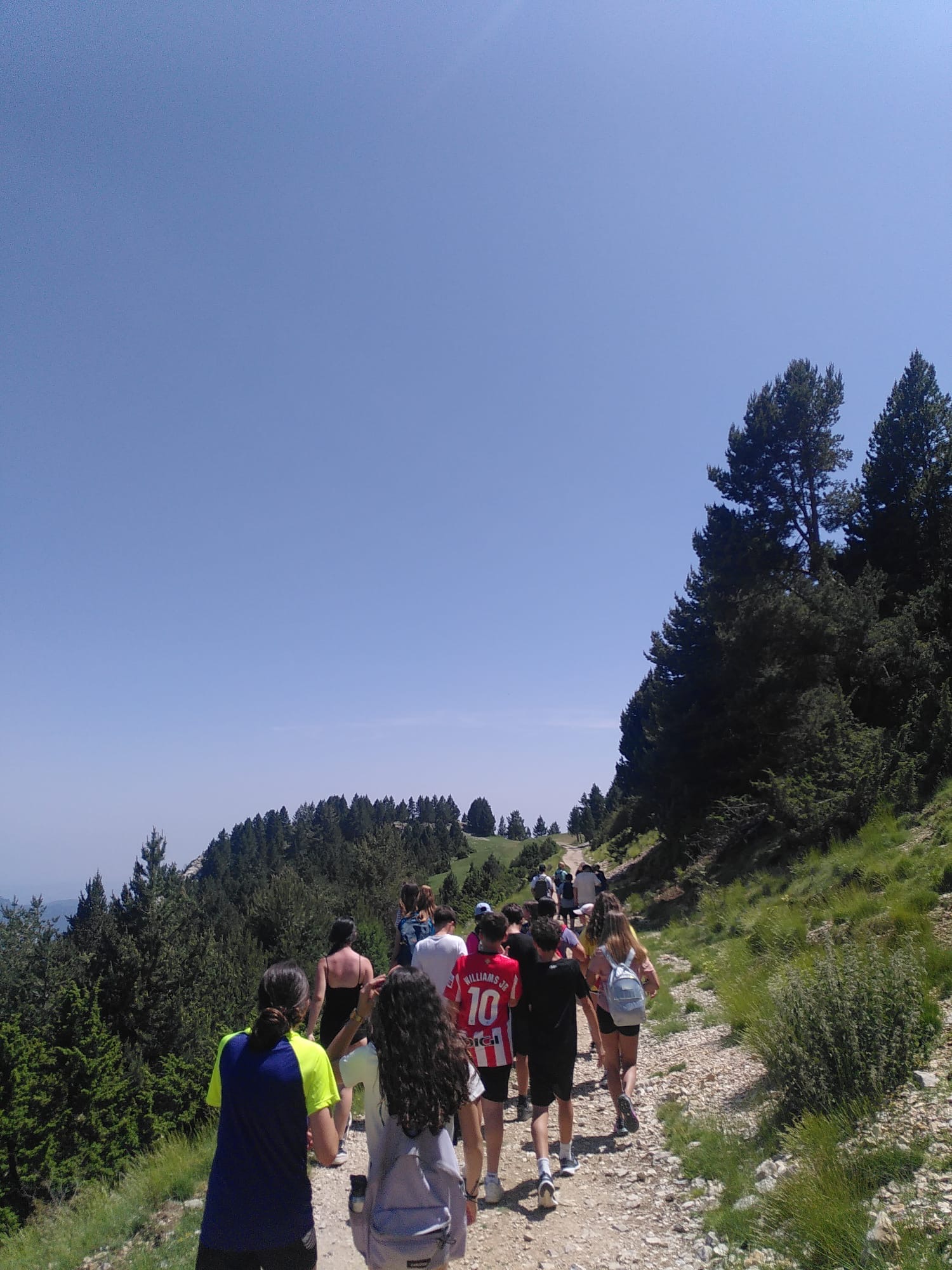 9c879c43-d037-4600-91f7-084da00a029a