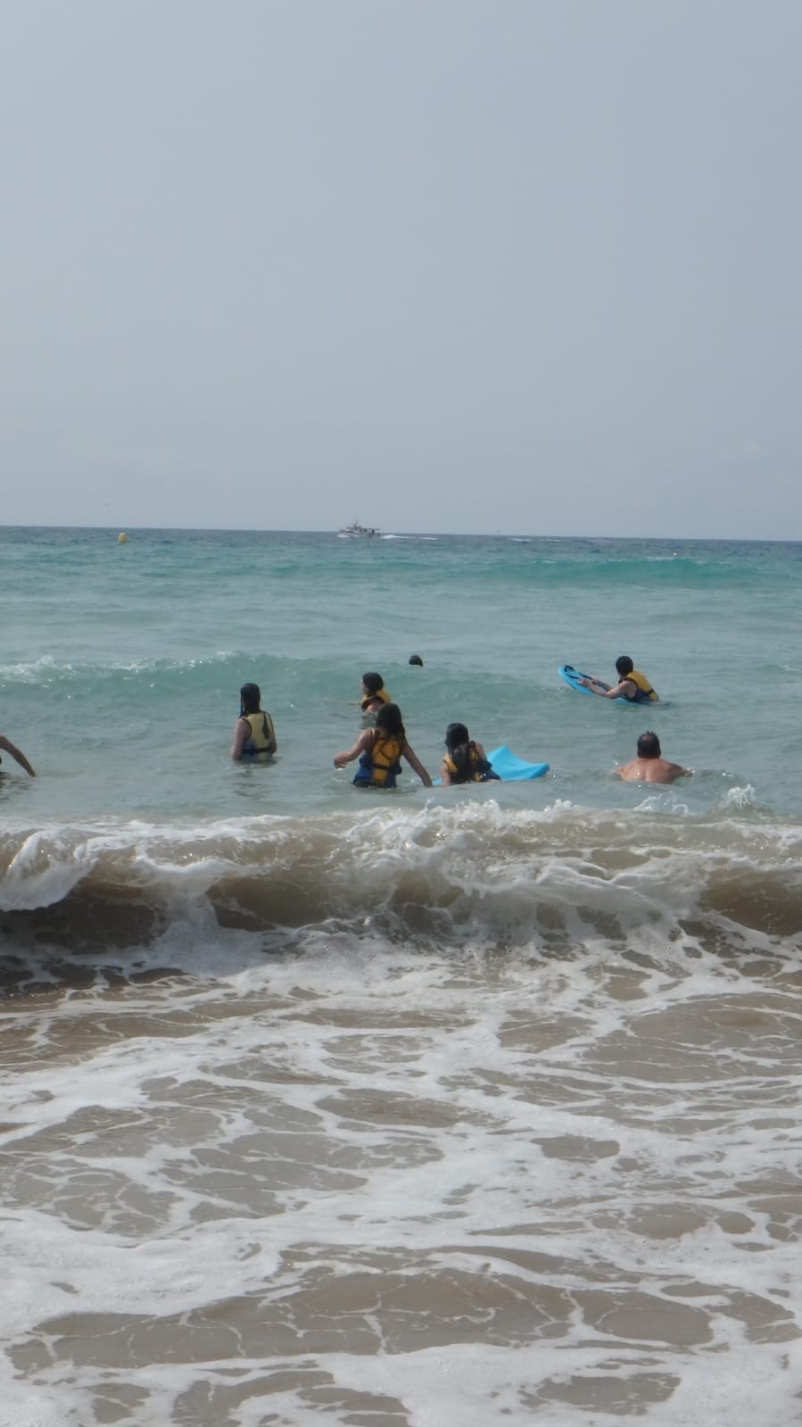 a495c4a8-c732-41b8-9ae4-81a8b3752c15