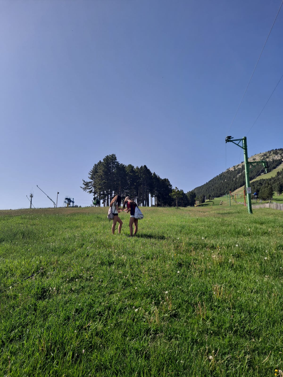 bbad9f25-8a2e-4cdd-a0e1-6aeb9c3b47a4