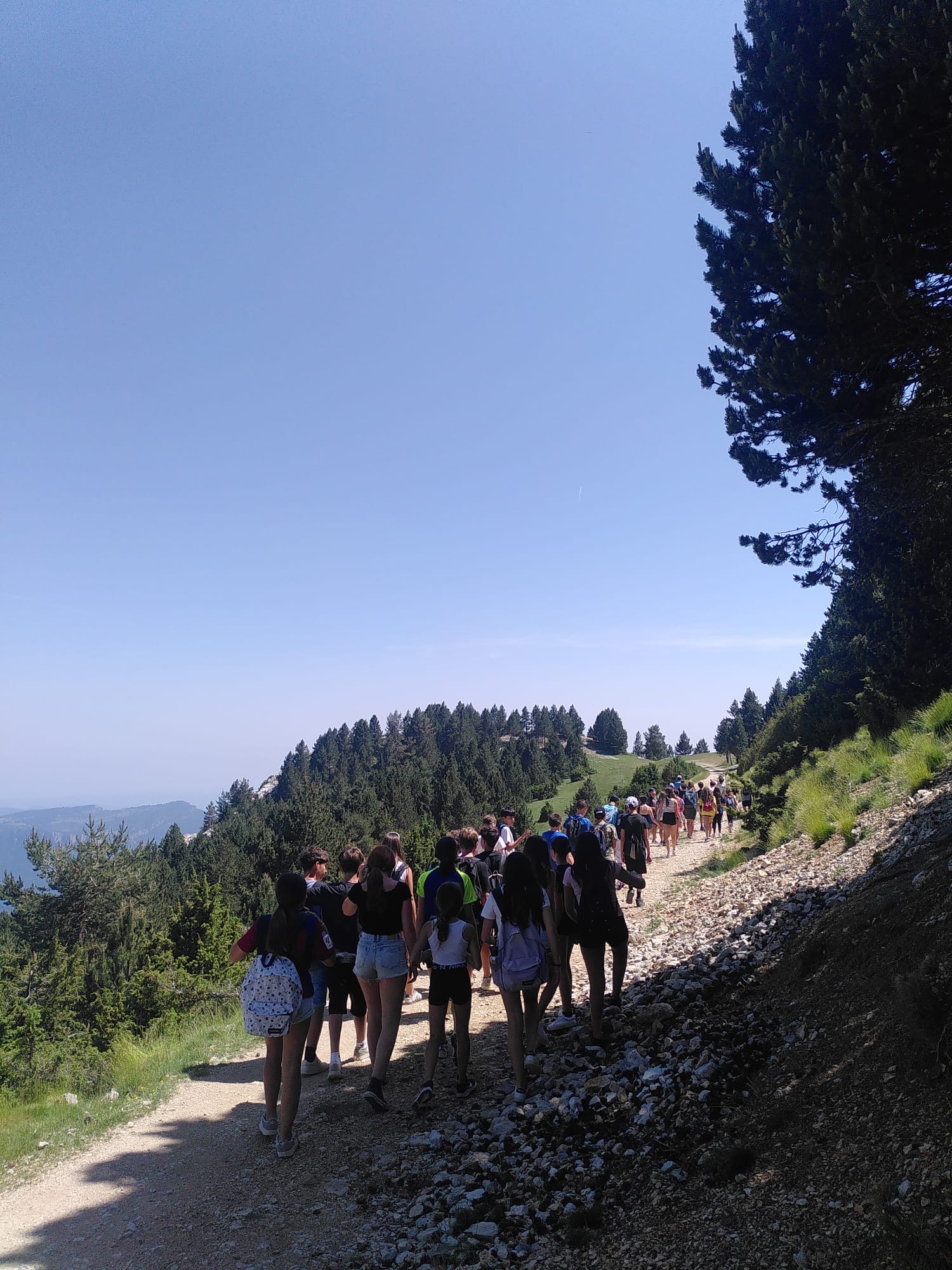 d561f06c-e82f-4826-8e00-bcfd02283dd3