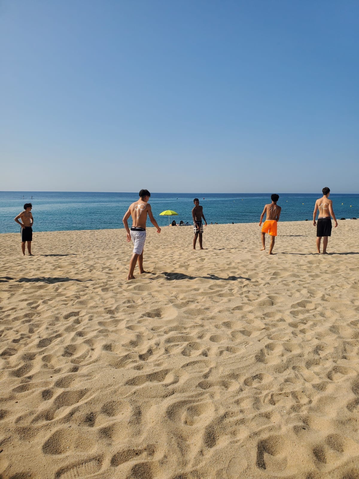 d56d1d0d-f4a6-413e-83f0-d374fd79650d