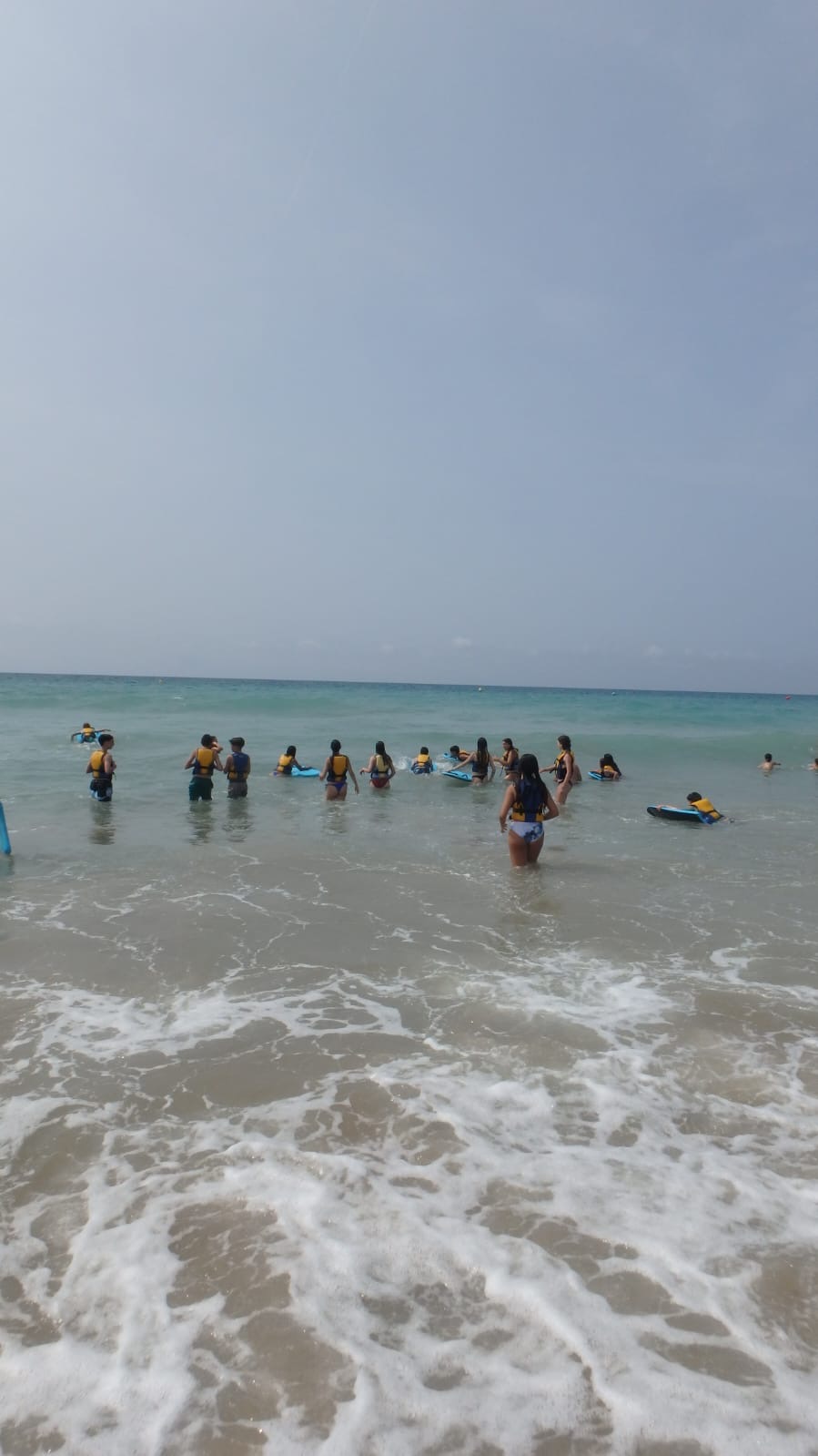 d80038f8-54c8-4ef9-939f-b553660704b1