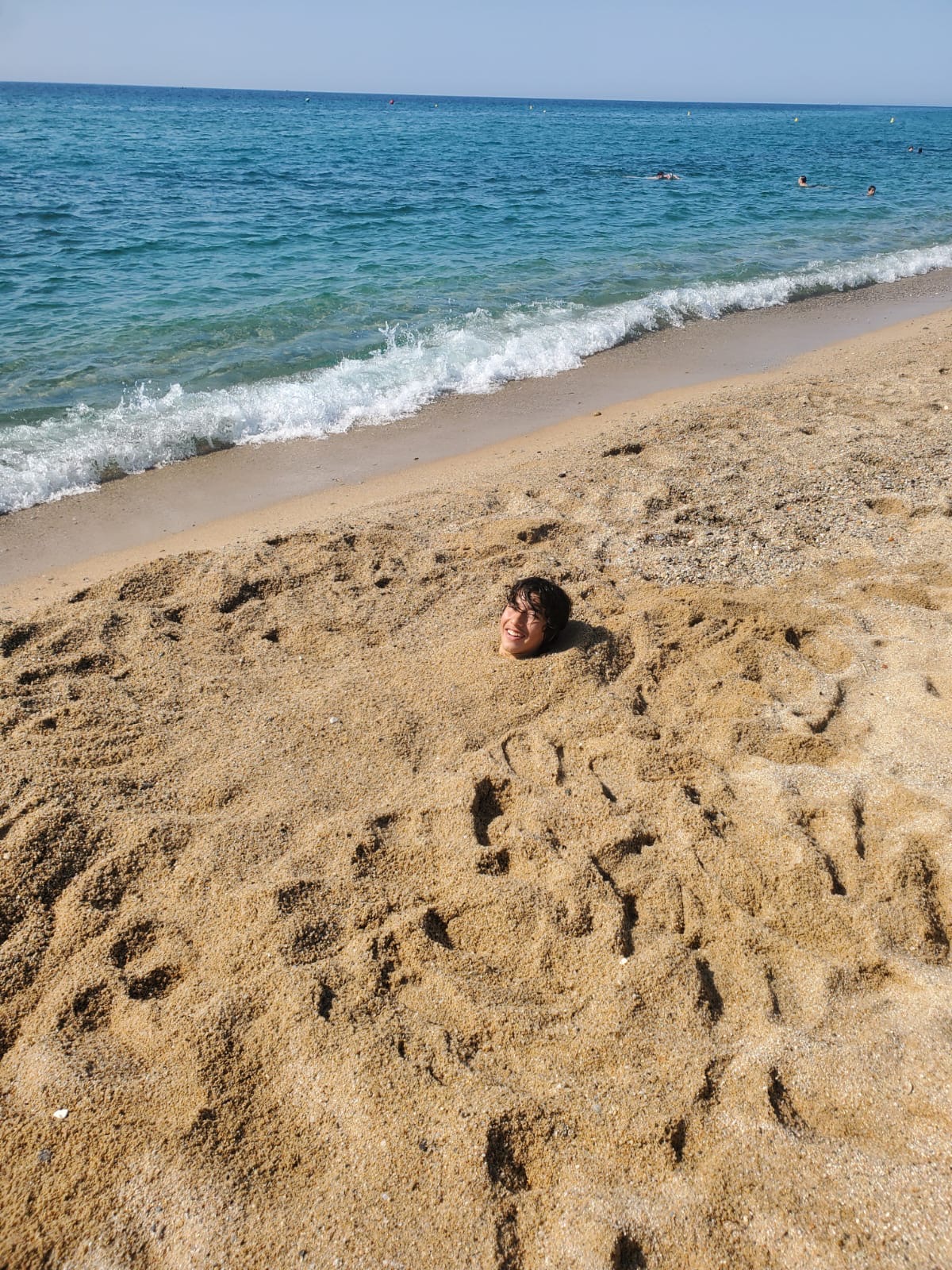 e012a648-e6dd-432f-bb51-01f9697fe065