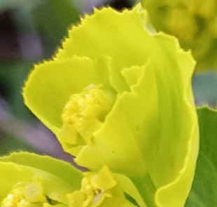 Concurs de matemàtiques